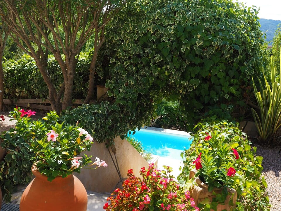 House | Garden