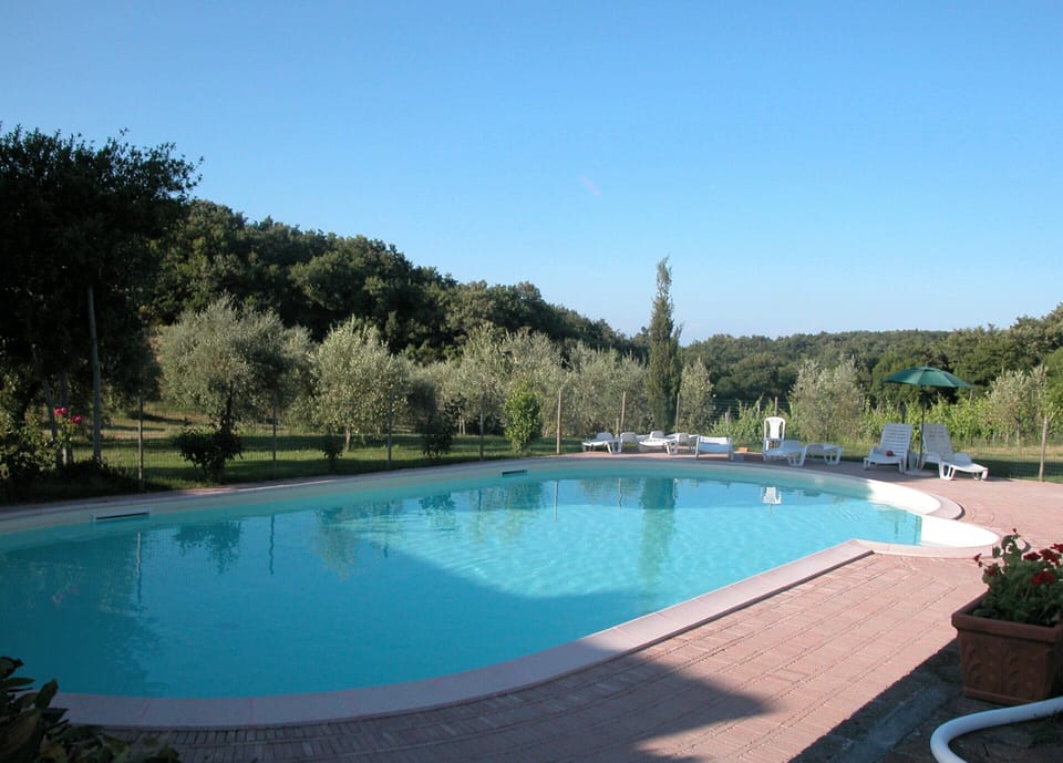 House | Pool | Outdoor pool