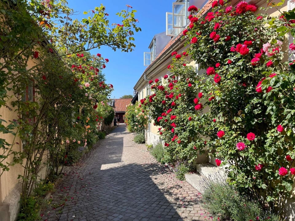 House | Property grounds