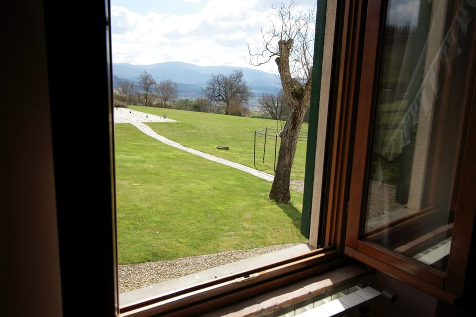 House | View from property