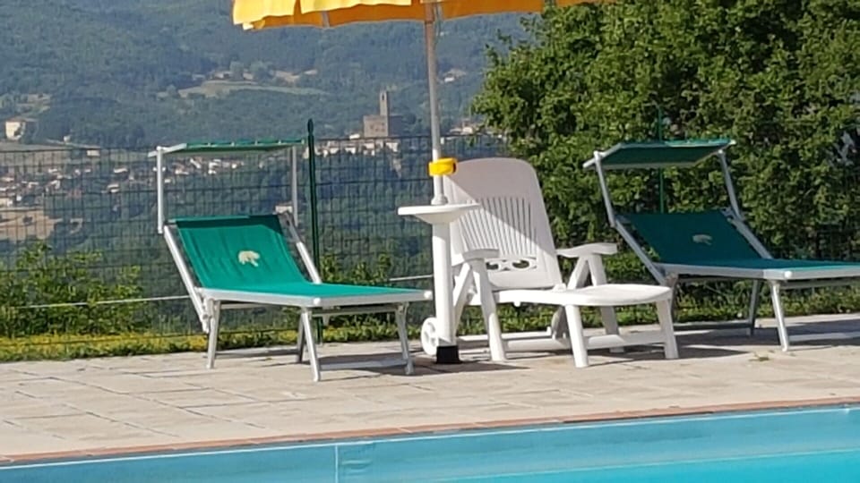 House | Pool | Outdoor pool