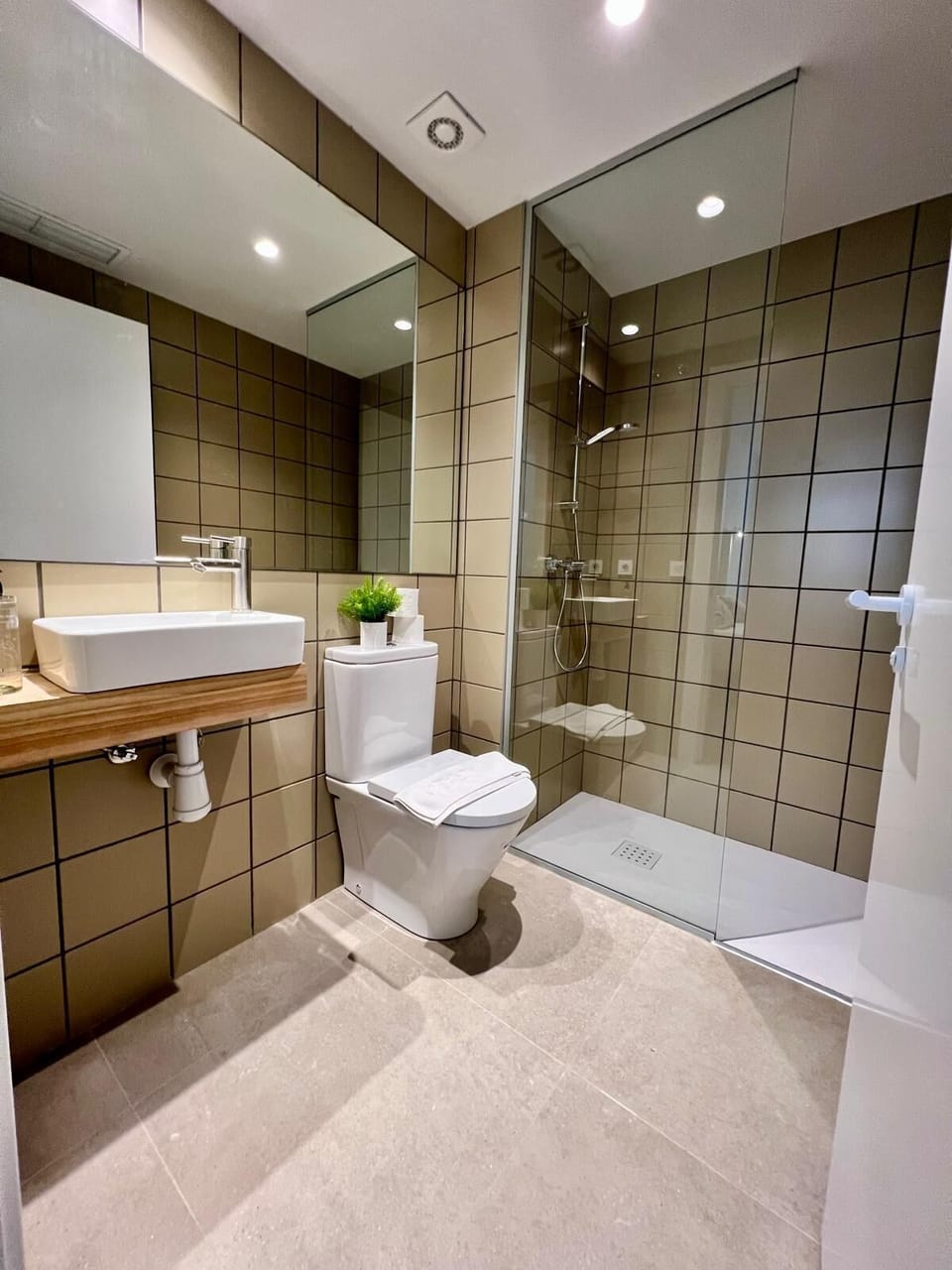 Towels, soap, shampoo, toilet paper