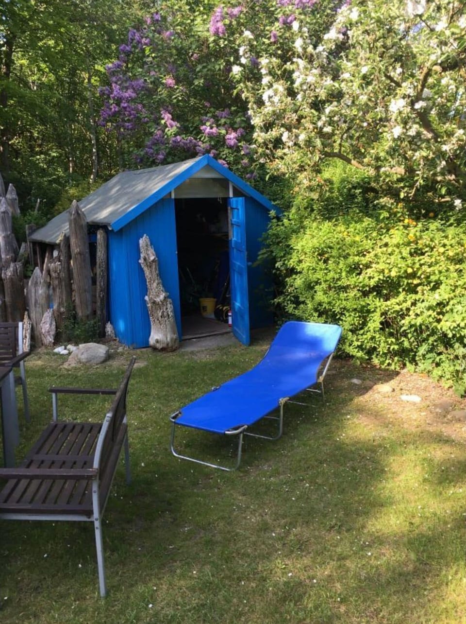 House | Property grounds