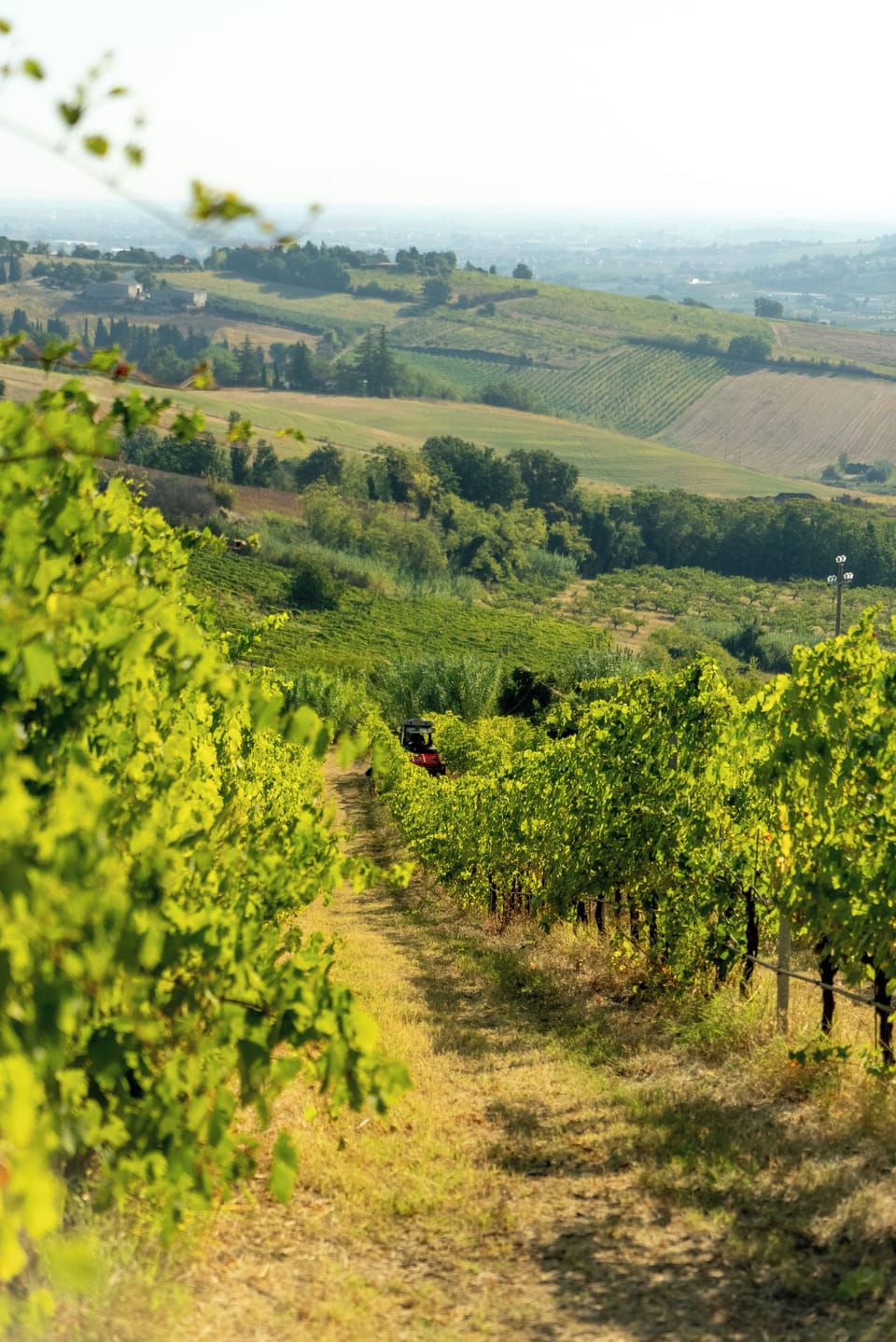 Winery
