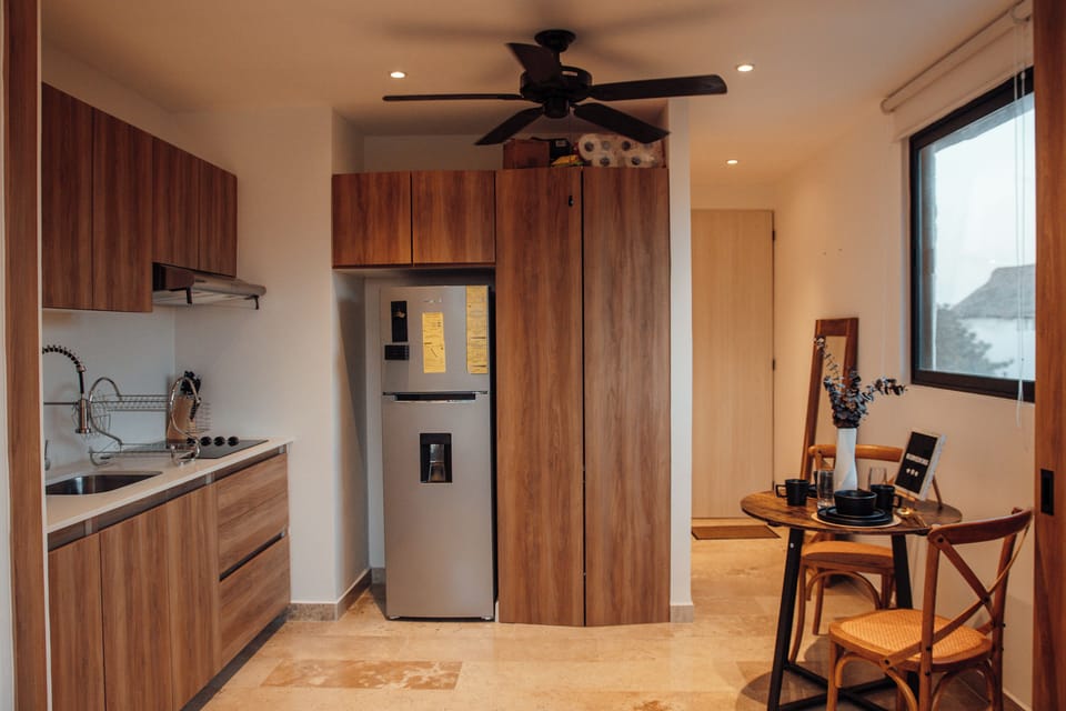 Deluxe Apartment, Balcony, City View | Private kitchen