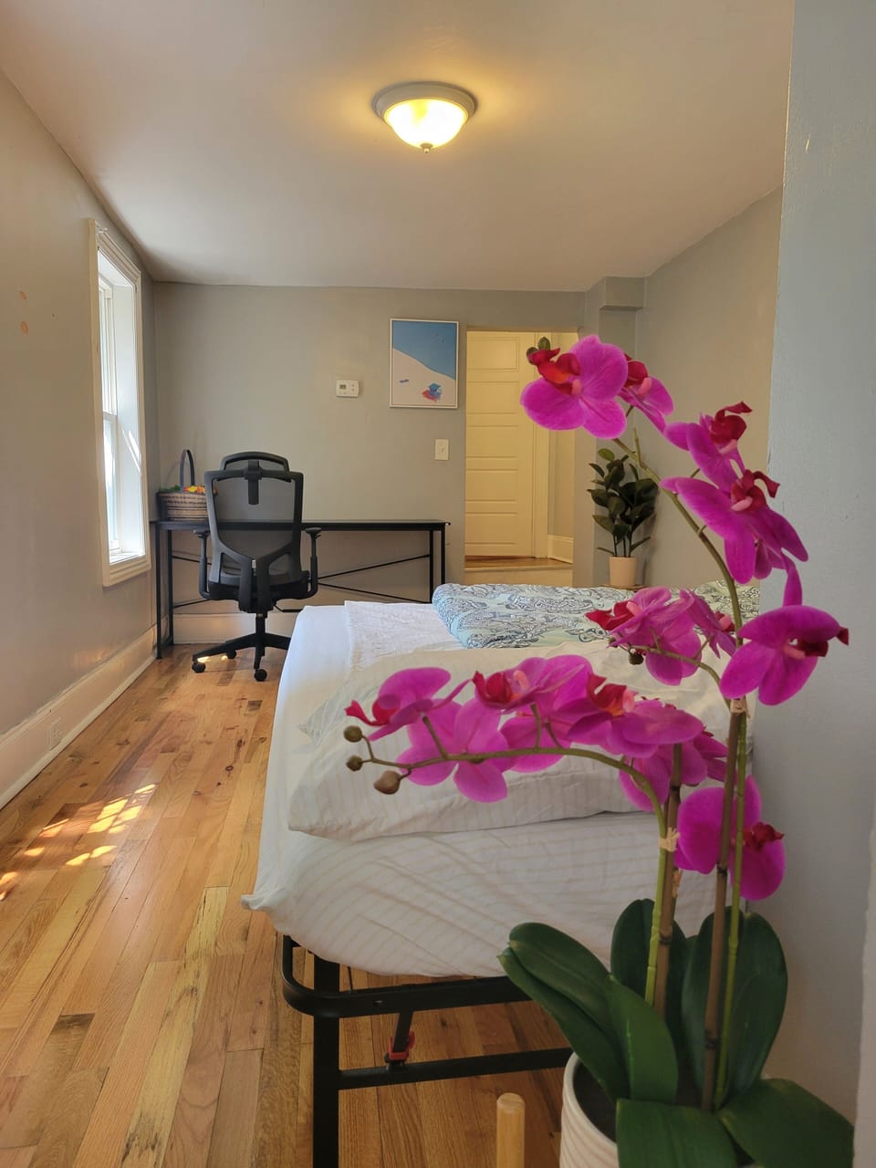 Apartment | Free WiFi