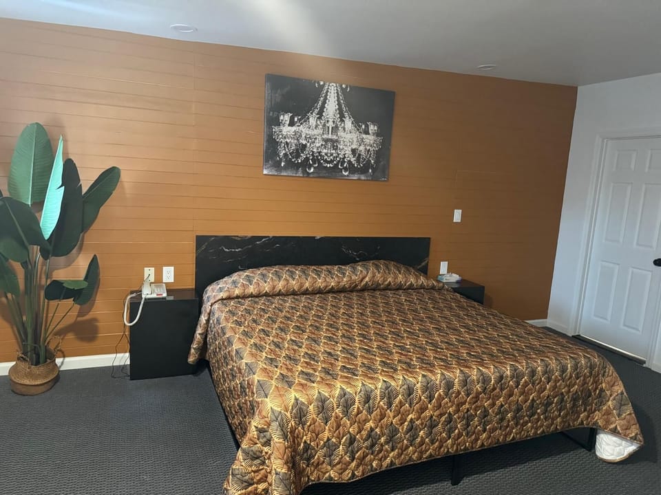 Standard Single Room, 1 King Bed | Bed sheets
