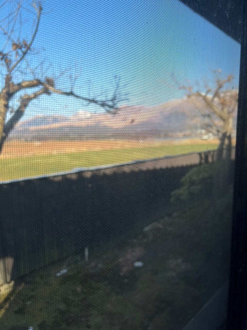 Basic Quadruple Room, Mountain View | Laptop workspace, WiFi (free)