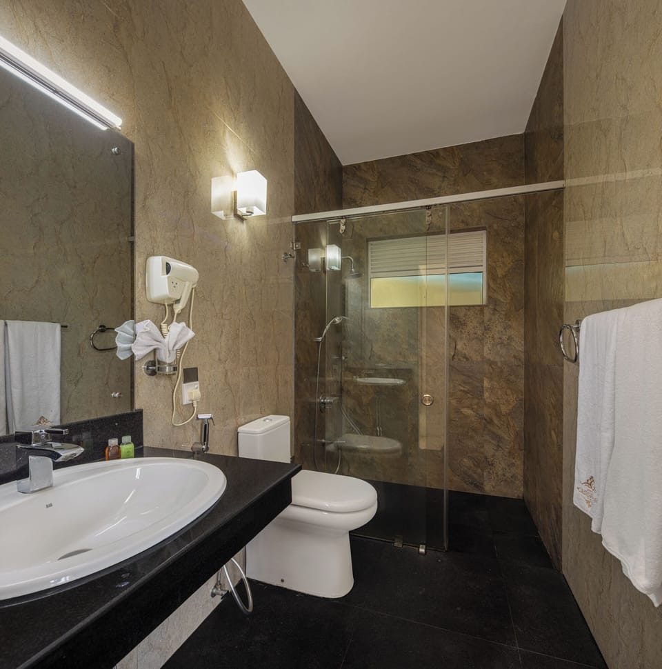 Shower, free toiletries, hair dryer, bidet