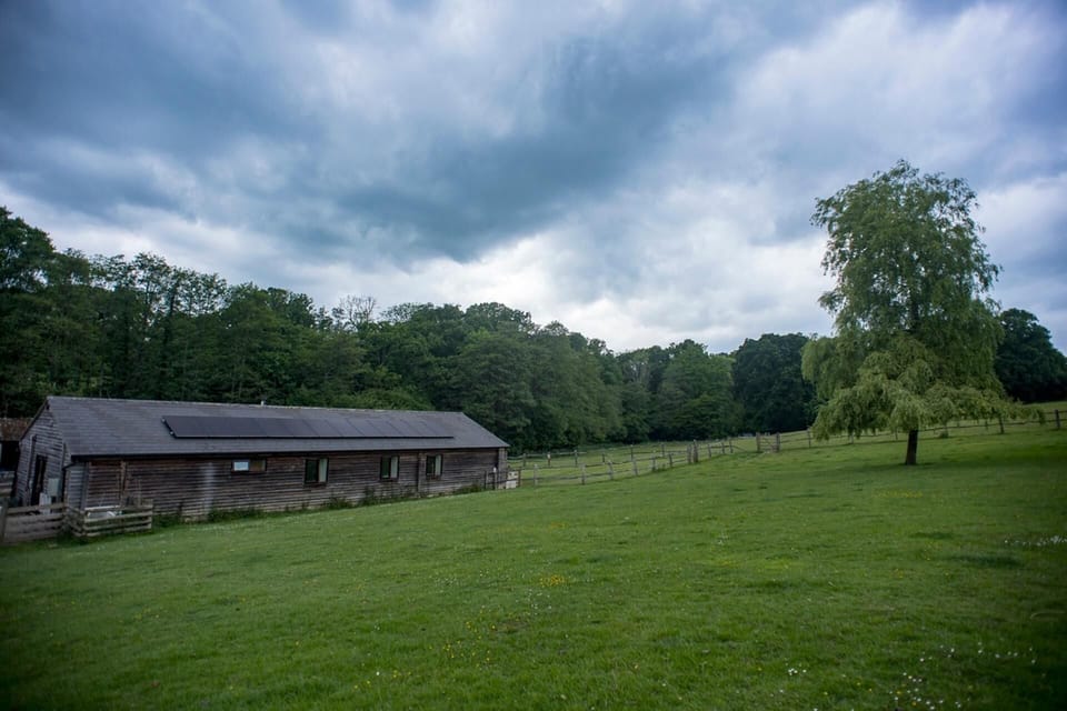 House | Property grounds