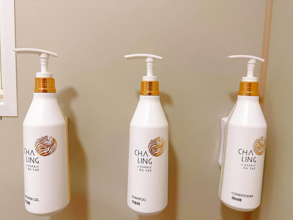 Shower, eco-friendly toiletries, hair dryer, bidet