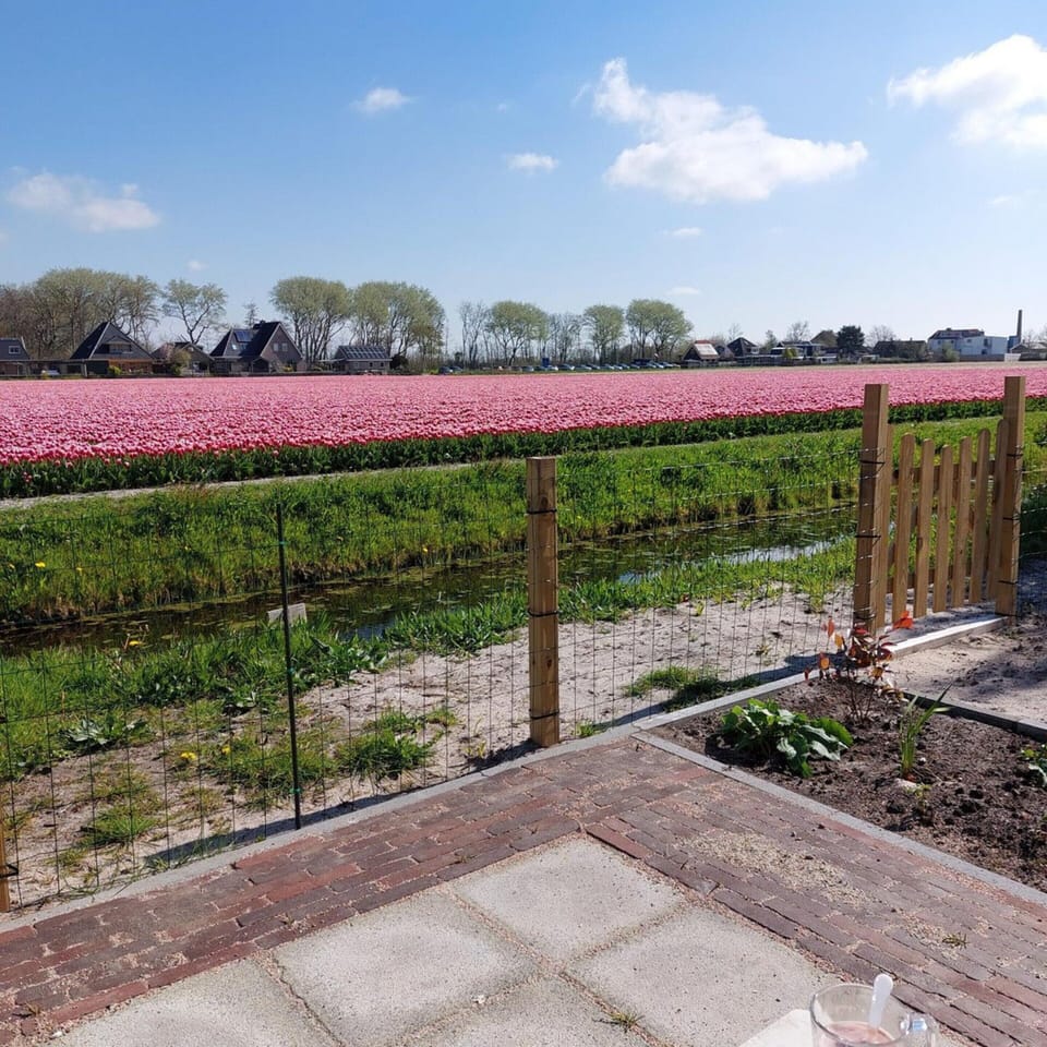 House | View from property