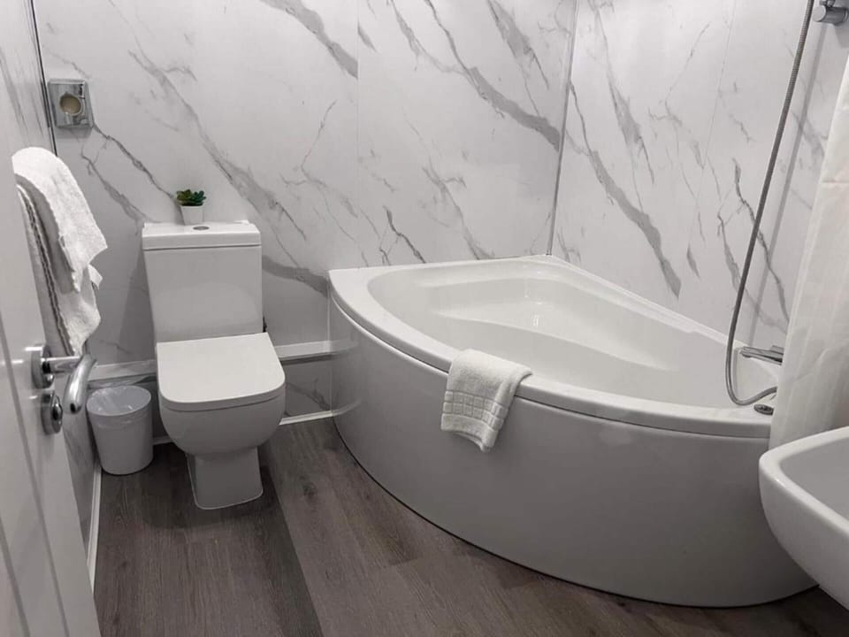 Deluxe Double Room | Bathroom | Free toiletries, towels, soap, toilet paper