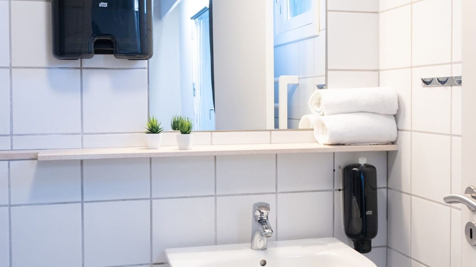 Basic Double Room | Bathroom | Shower, free toiletries, hair dryer, towels