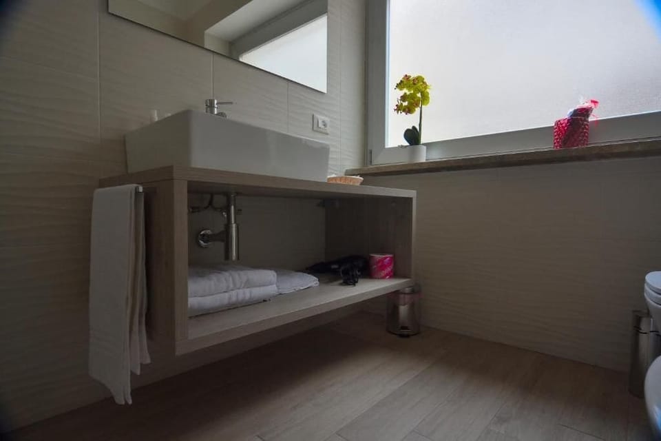 Superior Room, City View | Bathroom | Shower, hair dryer, bidet, towels
