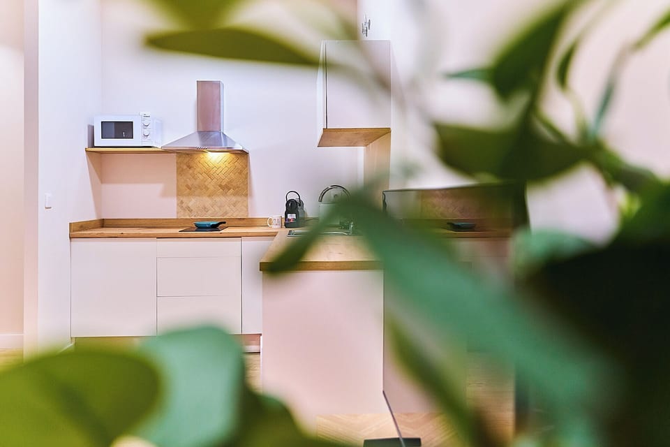 Superior Studio | Private kitchen | Mini-fridge, microwave, oven, stovetop