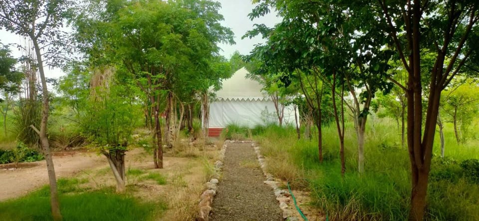 Deluxe Cottage, Valley View | 1 bedroom, WiFi (free)