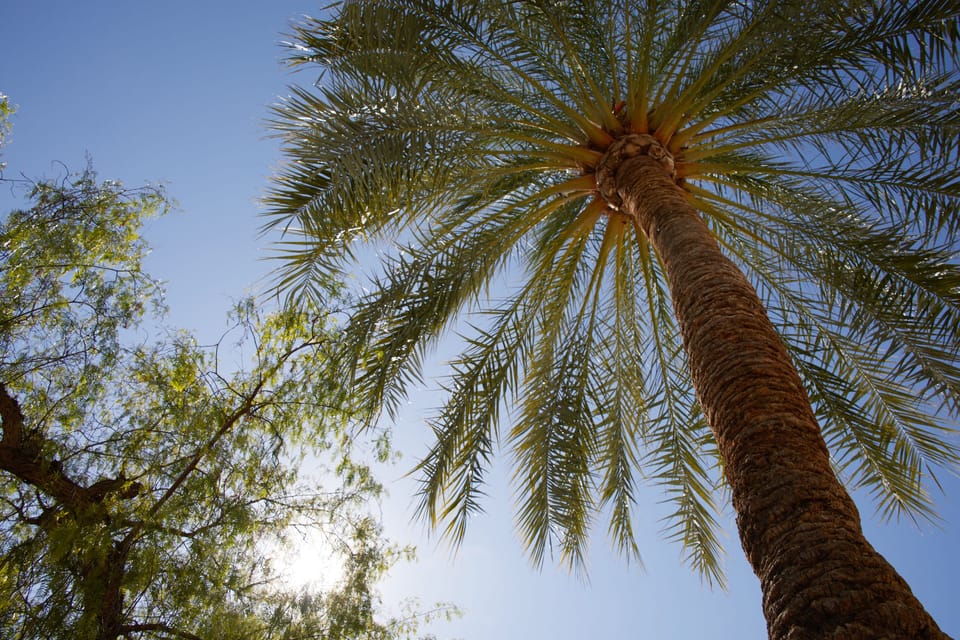 Outdoor pool, open 9:00 AM to 6:00 PM, pool umbrellas, sun loungers