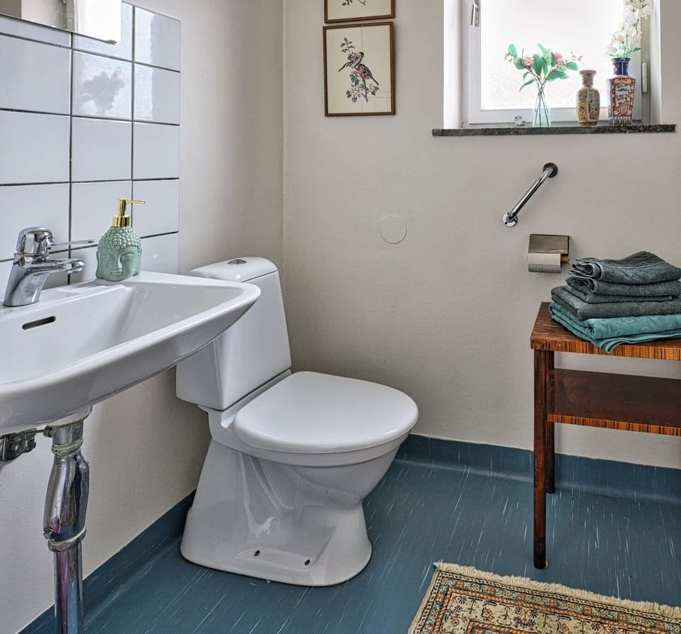 Basic Triple Room | Bathroom | Shower