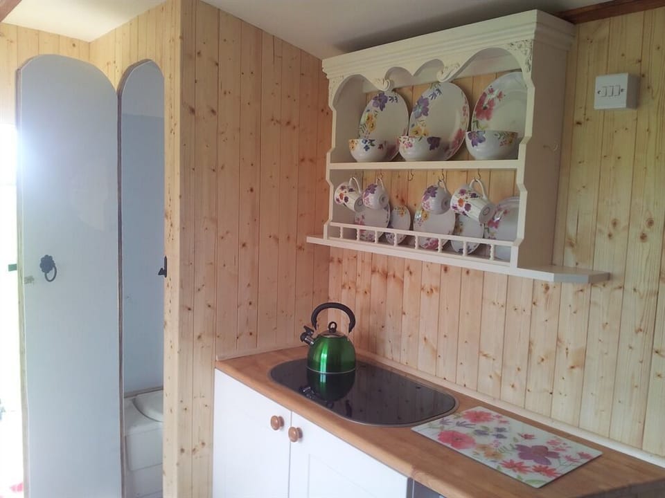 Comfort Double Room, Shared Bathroom, Park View (With Private WC) | Bathroom | Shower, rainfall showerhead, soap, shampoo