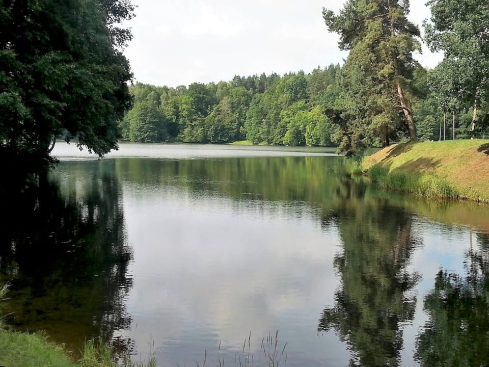 House | View from property