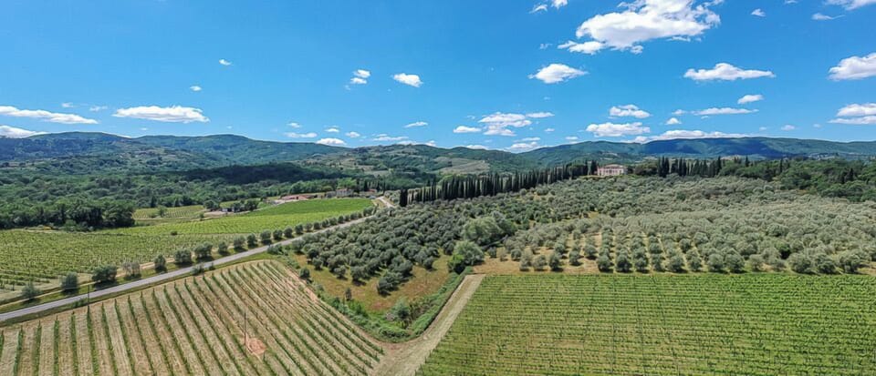 Winery