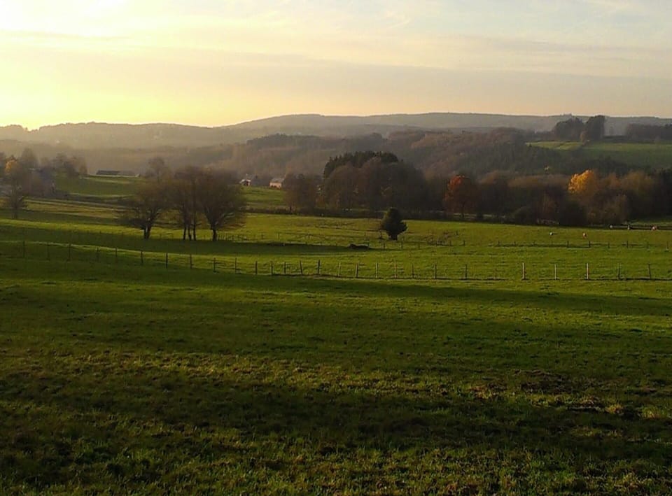 House | View from property