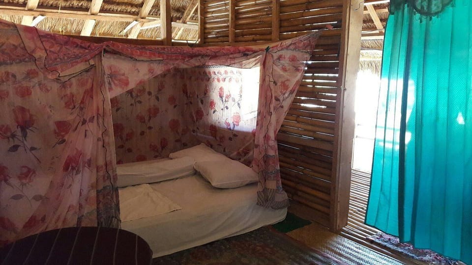 Basic Double Room, Park View
