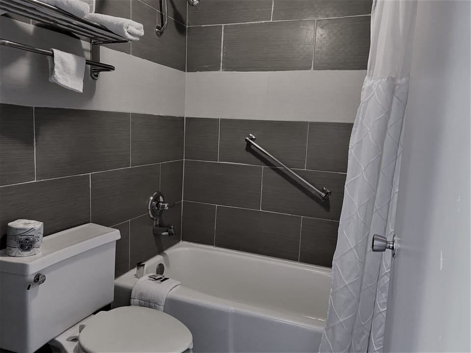 Free toiletries, hair dryer, towels