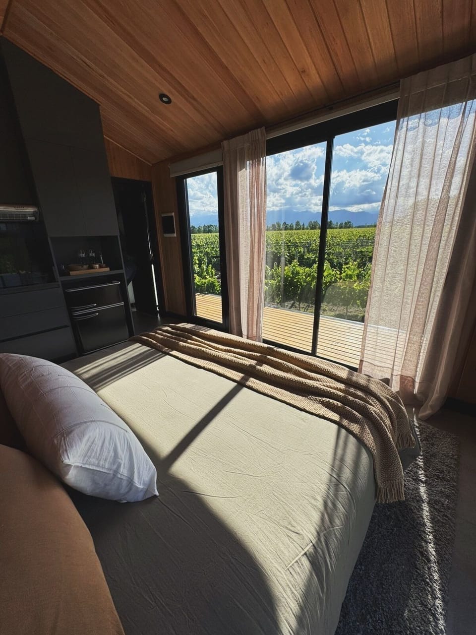 Deluxe Cabin, Vineyard View | View from room