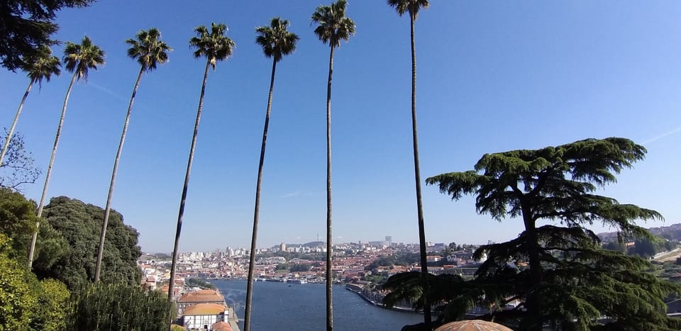 Porto Downtown Hotel in Porto