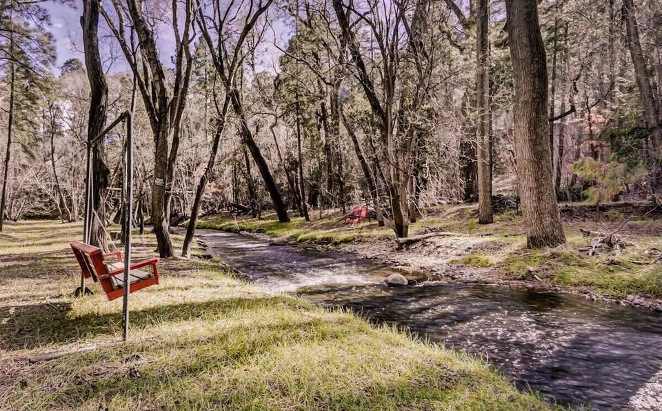 BBQ/picnic area