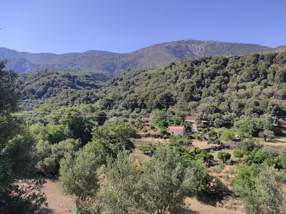 House | 2 bedrooms, desk