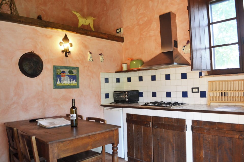 Apartment, Hill View | Private kitchen | Full-size fridge, microwave, oven, stovetop