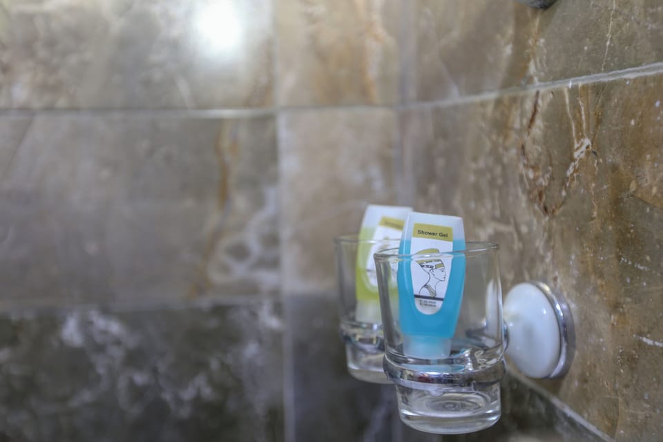 Deluxe Double or Twin Room | Bathroom | Free toiletries, hair dryer, slippers, bidet