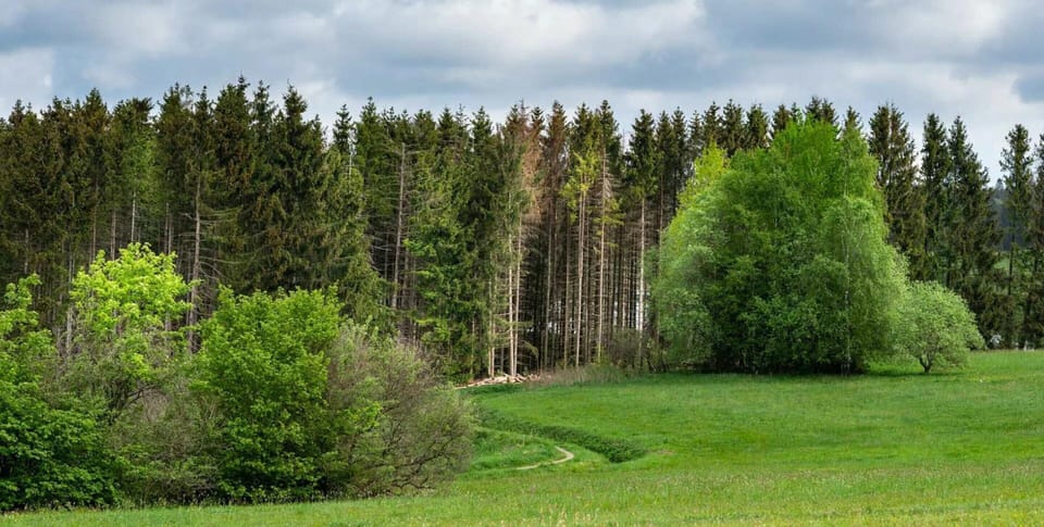 House | View from property