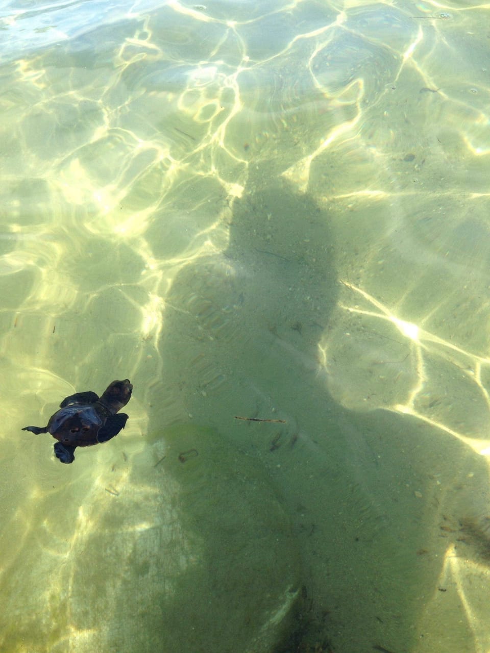 On the beach, beach towels, snorkeling, kayaking