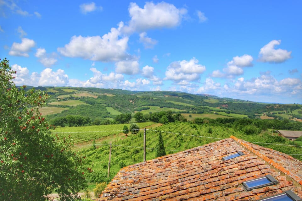 House | View from property