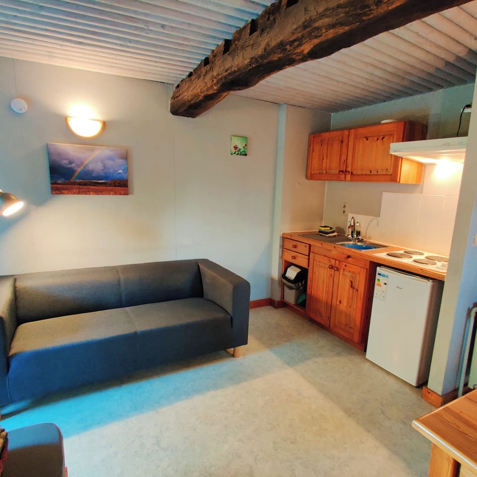 Basic Studio, Patio, Garden View | Private kitchenette | Coffee/tea maker, fridge, stovetop, cookware/dishes/utensils