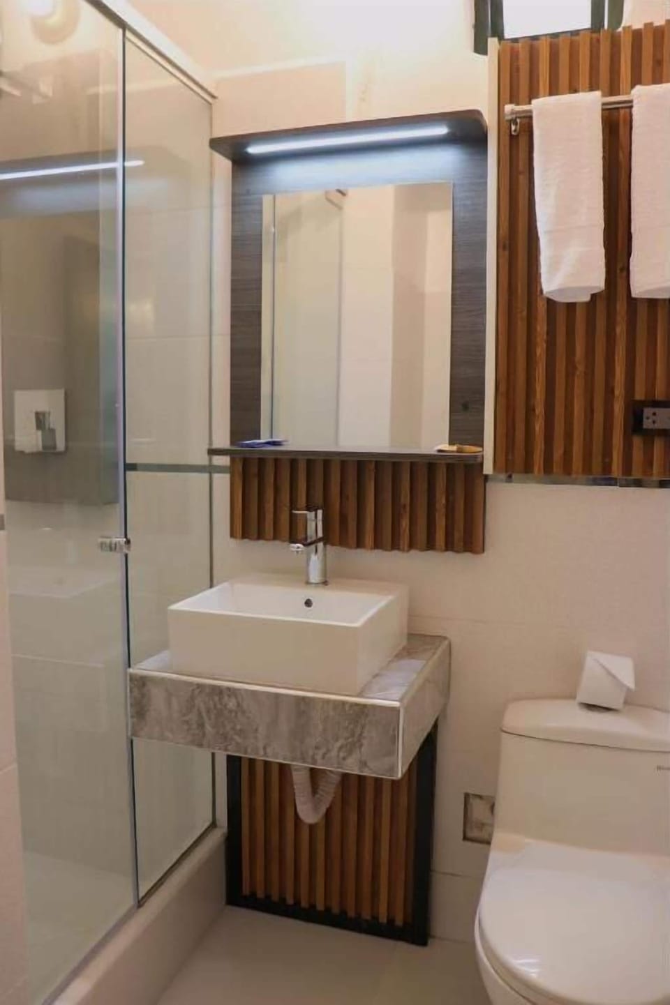 Shower, bidet, soap, shampoo
