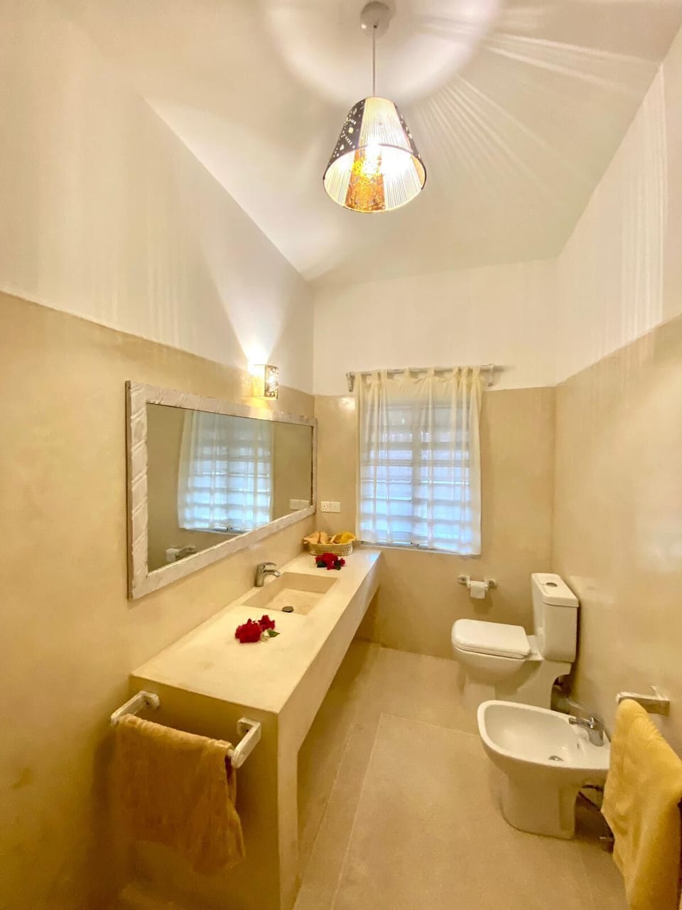 Shower, hair dryer, bathrobes, bidet