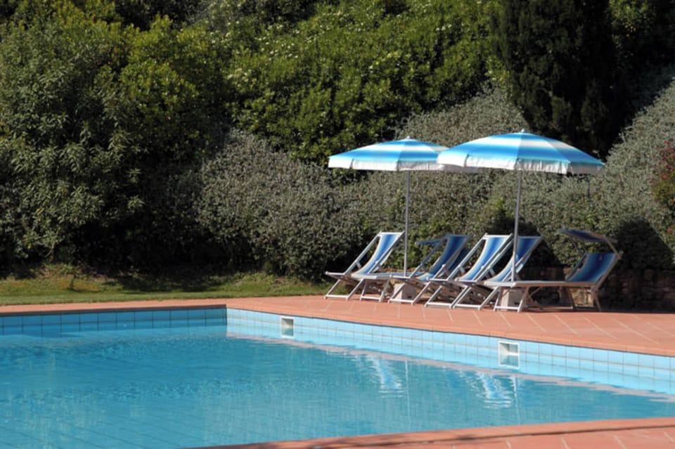 Seasonal outdoor pool, pool umbrellas, sun loungers