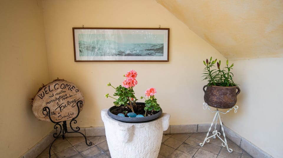 Apartment | 1 bedroom