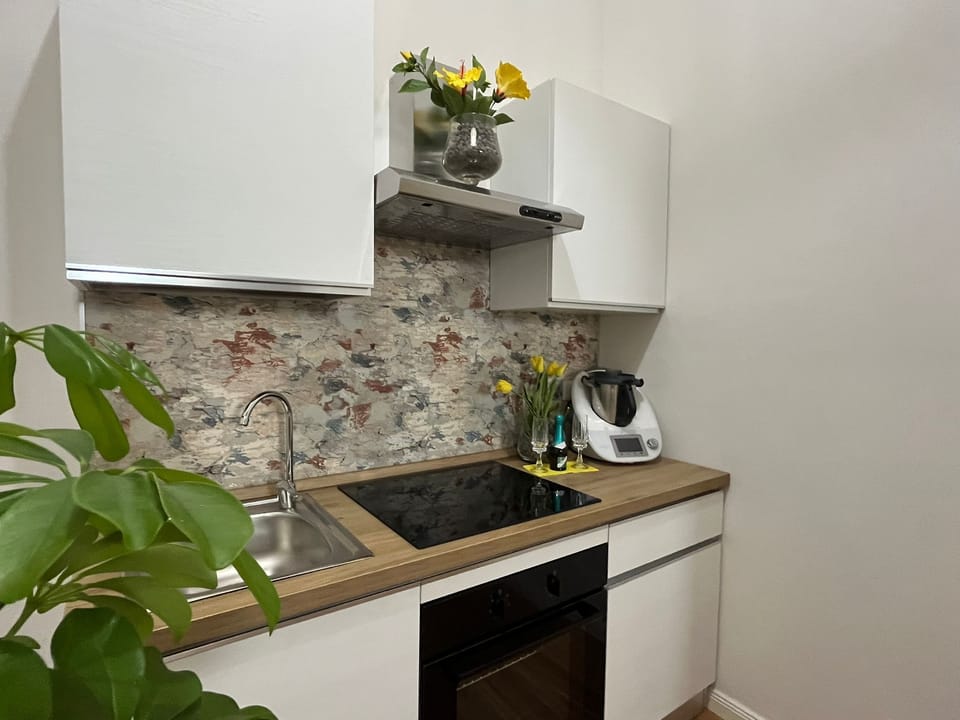 Oven, stovetop