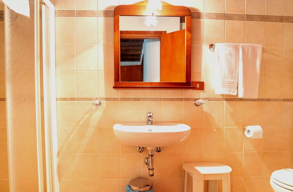 Shower, bidet, towels, soap