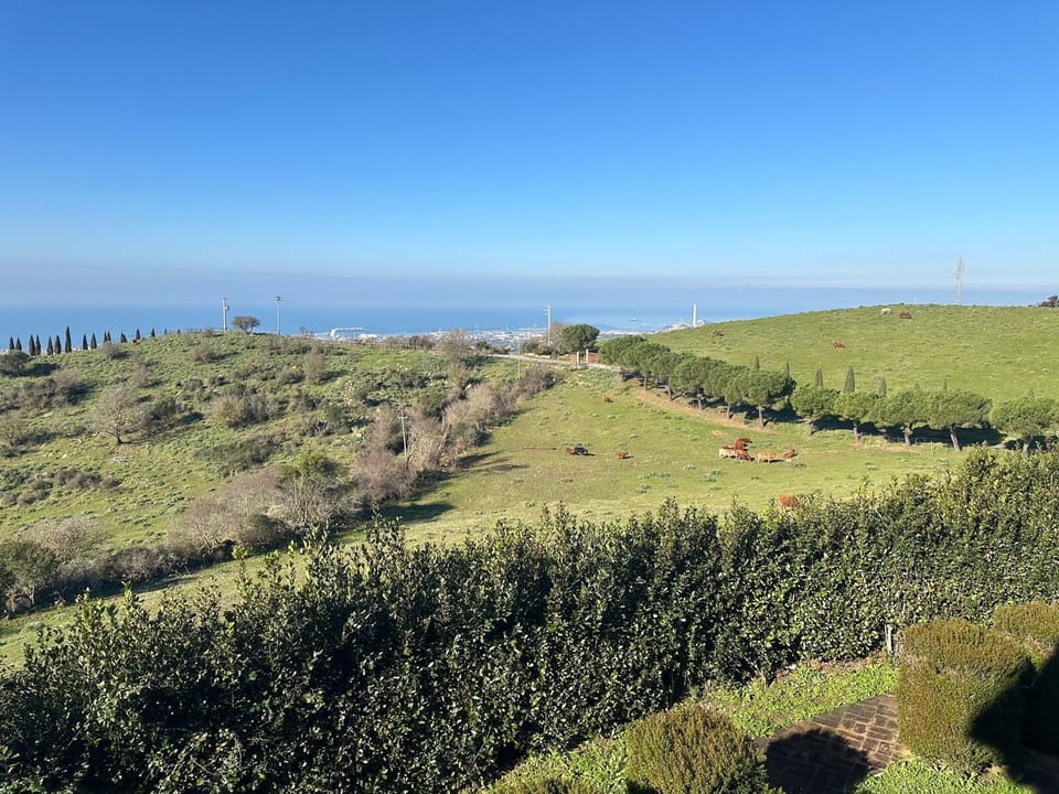 View from property