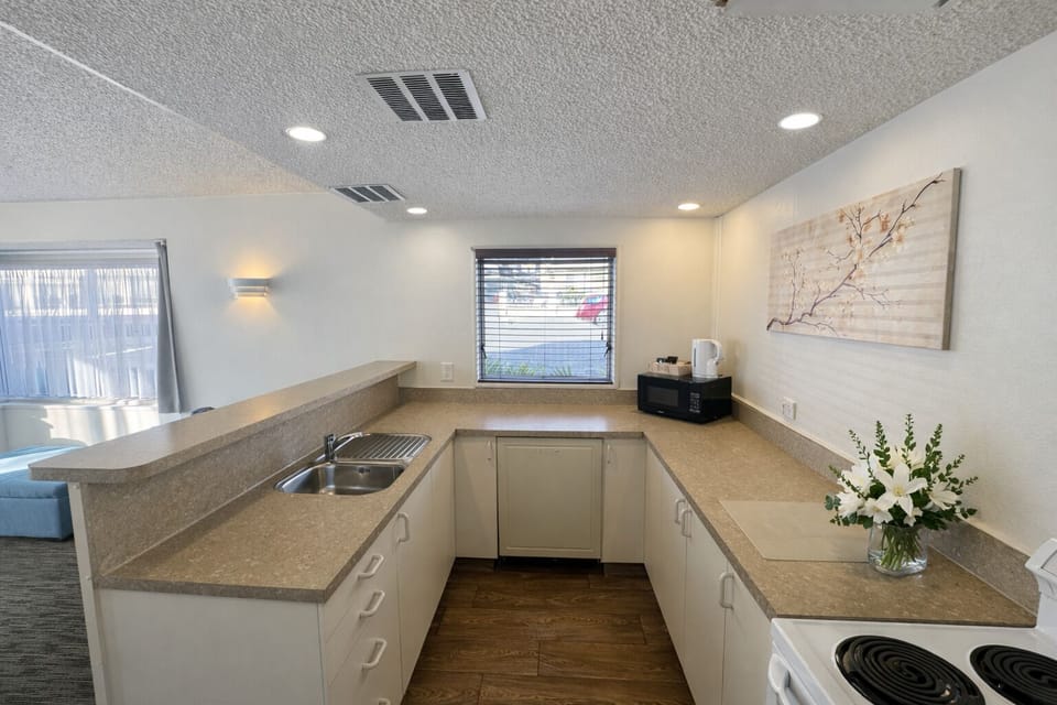 Family Apartment, 2 Bedrooms | Private kitchen | Mini-fridge, microwave, toaster