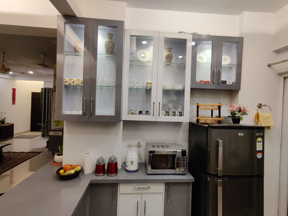 Full-size fridge, microwave