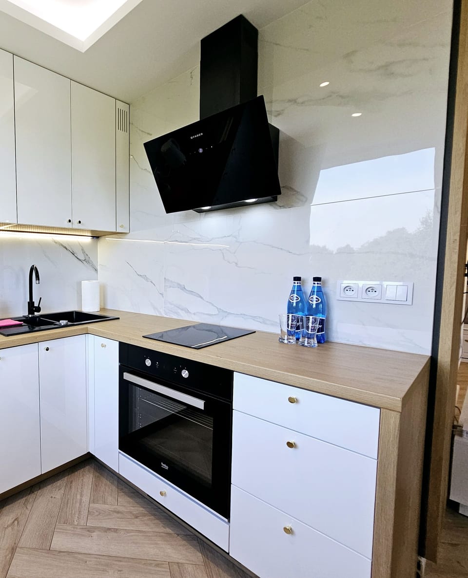 Comfort Apartment, Balcony, Park View | Private kitchen | Fridge, oven, stovetop, dishwasher