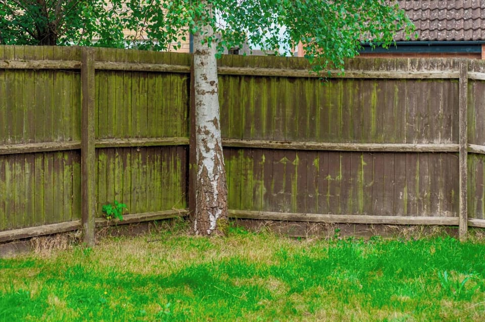 House | Property grounds